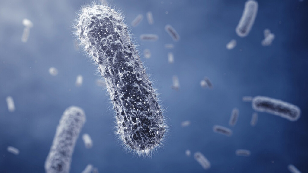 Effetti degli antibiotici