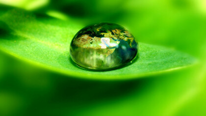 Natura incontaminata