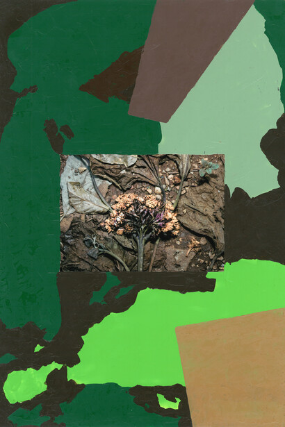 Tetsuya Kusu, An extension of life. Courtesy of Kathmandu Photo Gallery