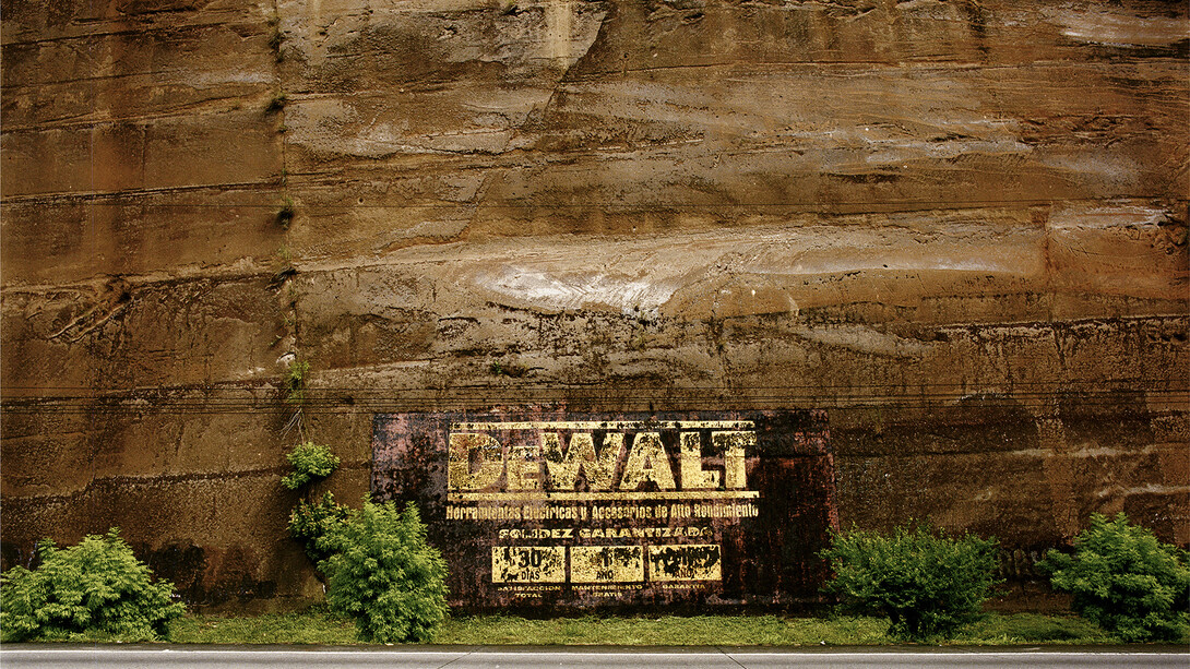 Rubens Mano, natureza privada (r) (detalhe), 2014, photography / 113 x 123 cm