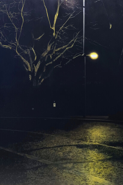 Francis Matthews, Grattan (detail). Courtesy of the Molesworth Gallery