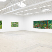 Mucki Botkay, Imaginary windows, exhibition view. Courtesy of Anat Ebgi
