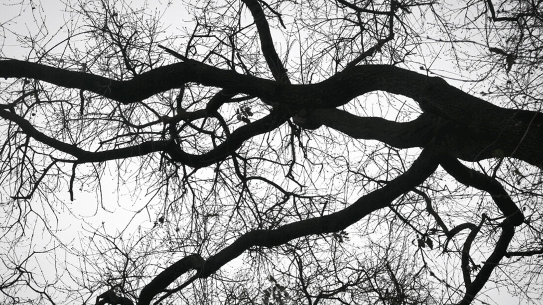 Mariano Zuzunaga, Barcelona (detalle), 2020. Cortesía de La Galería 