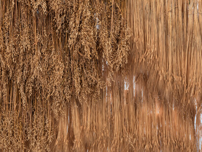 Hélène Bertin, Le jardin des paniers (détail), 2020. Crédit photo : Vincent Blesbois
