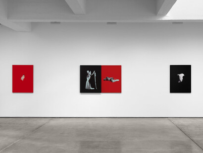 Sarah Charlesworth, Desire and seduction, exhibition view. Courtesy of Paula Cooper Gallery