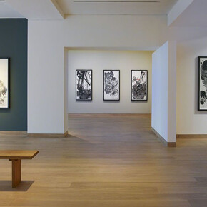 Chu Teh-Chun, Exhibition view. Courtesy of Waddington Custot