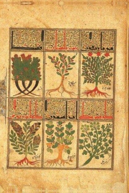 Les pages intérieures du Kitâb al-Diryâq