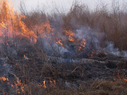 Meredith Foster: Fire and Fat. Courtesy of CAM 