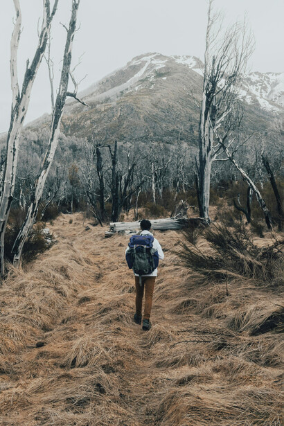 Participar en una caminata contemplativa puede ayudar a desconectar del ritmo acelerado de la vida urbana, promoviendo un ritmo más pausado y reflexivo
