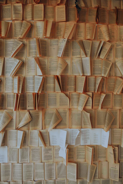 La novela “Almas muertas” expone cómo los recursos públicos, destinados a incentivar la economía, eran desviados para enriquecer a los poderosos