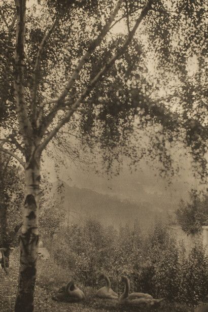 Andrew Buurman (British, b. 1966), Allotments, 2009, inkjet prints, printed 2012, George Eastman Museum, purchase with funds from Charina Foundation, 2011.0414.0001-0070.