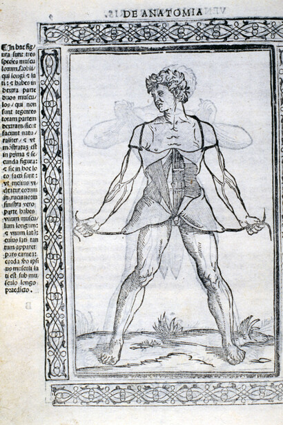 Berengario da Carpi. Courtesy of Palazzo dei Pio