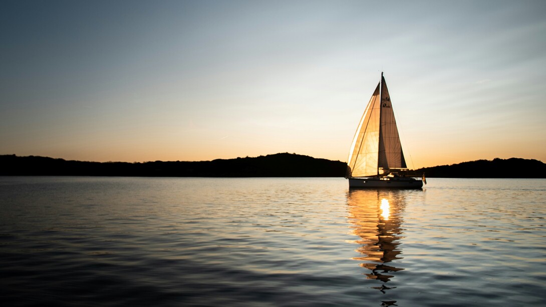 Occhi blu, profondi come il mare che circonda l’isola: osserva in silenzio