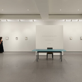 Sissi Farassat, Revelation, exhibition view. Courtesy of Edwynn Houk Gallery