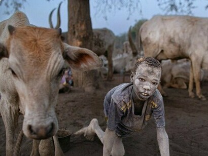 Rural childhood shaped by livestock, land, and survival, representing the quiet persistence of communal identity in an increasingly connected world