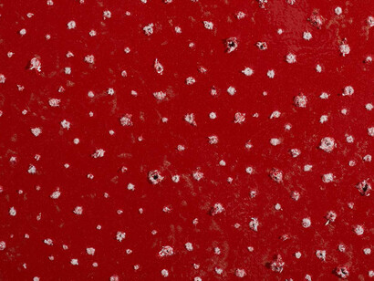 Kirstie Macleod, Mu, 2015, detail