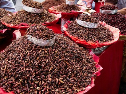 Puestos callejeros ofrecen los chapulines listos para ser consumidos