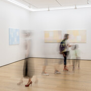 daam. Courtesy of Whitestone Gallery