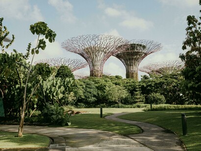 Vertical gardens in Singapore demonstrate how healing landscapes can be embedded into city life