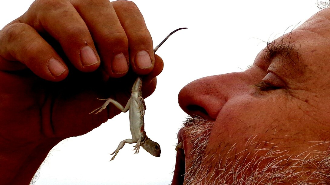 Rito di saluto al deserto Gobi