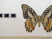 Anthea Hamilton, Soft you, vista della mostra. Per gentile concessione della Fondazione Memmo