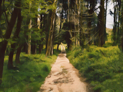 Un cammino è salita e discesa, è fame e sete, è sosta e ripresa, è piano e veloce, un cammino è come la preghiera, il passo continuo al ritmo della devozione