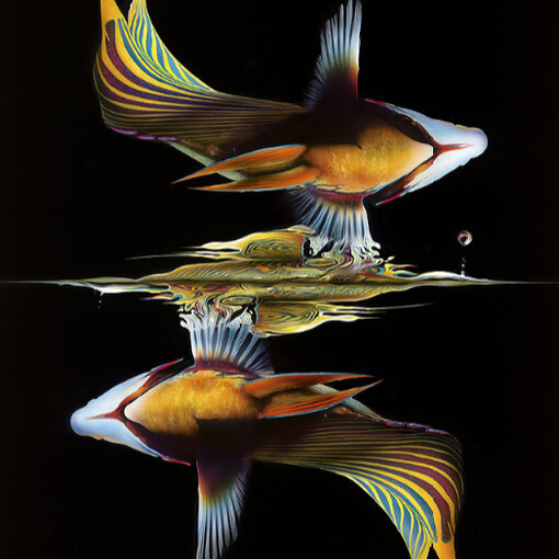 Reflections, Ripples + Shadows. Courtesy of Louis K. Meisel Gallery