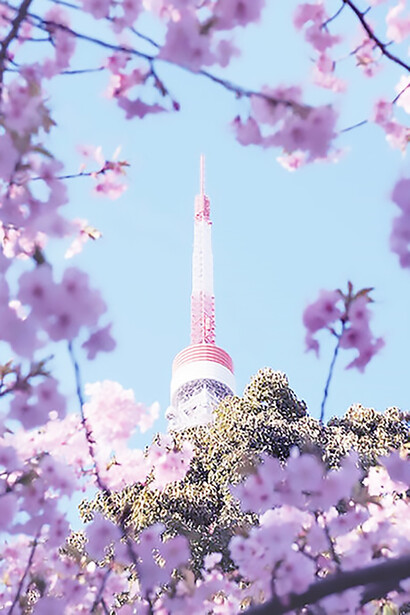 Namsan Tower or Seoul Tower, south Korea
