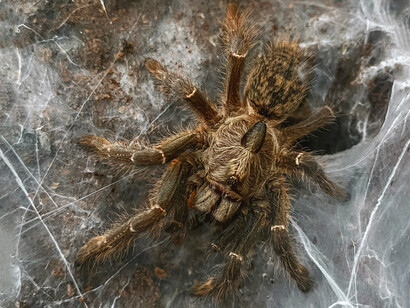 Cuando miramos la industria del entretenimiento olvidamos que es eso: una industria creada, pensada para ganar dinero y mantenernos entretenidos