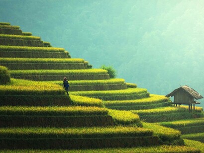 The steps on the hills of a rice paddy plantation, in Thailand