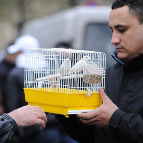 China and Europe Story. Courtesy of Bozar