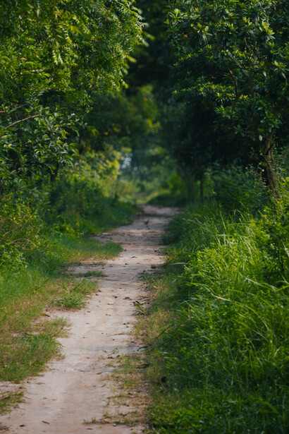 En ese movimiento continuo, el hacer se impone al sentir y el cansancio aparece, no por falta de logros, sino por exceso de exigencia