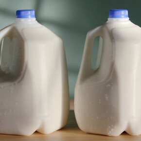 Use Your Words. Courtesy of Altman Siegel Gallery