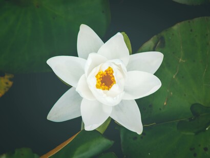 The real challenge is to understand at what point we should be the ones to change