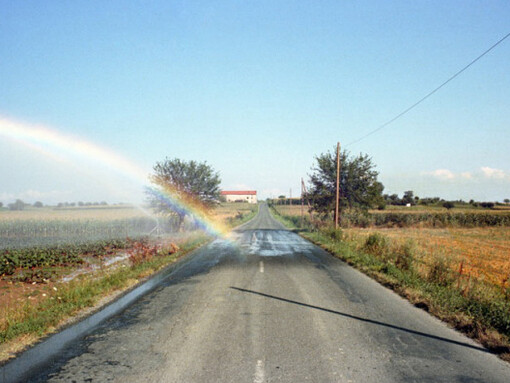 Viaggio in Italia. Courtesy of Museo di Fotografia Contemporanea