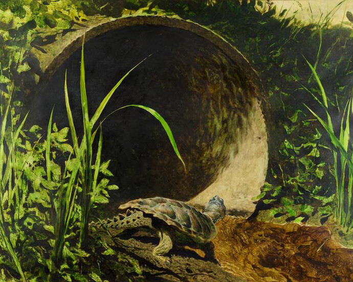 Art of the Wyeth Family. Courtesy of Heather James Fine Art 