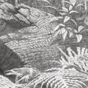 Sam Harrison, To a grandmother (State I) (detail), 2025. Courtesy of Onespace Gallery