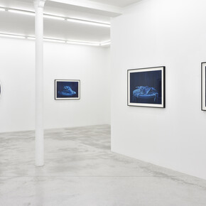 credit photo: Rebecca Fanuele
courtesy: Levi Van Veluw & Praz-Delavallade Paris, Los Angeles