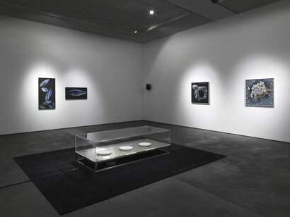 Hybrid Matter. Courtesy of Gallery Dittrich & Schlechtriem
