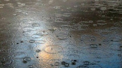 The rain, forming mud on the ground