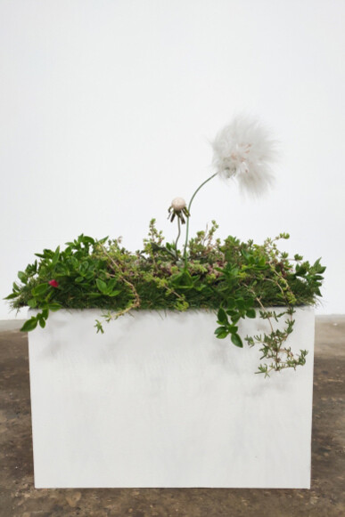 Joséphine Wister Faure. Courtesy of DENK gallery