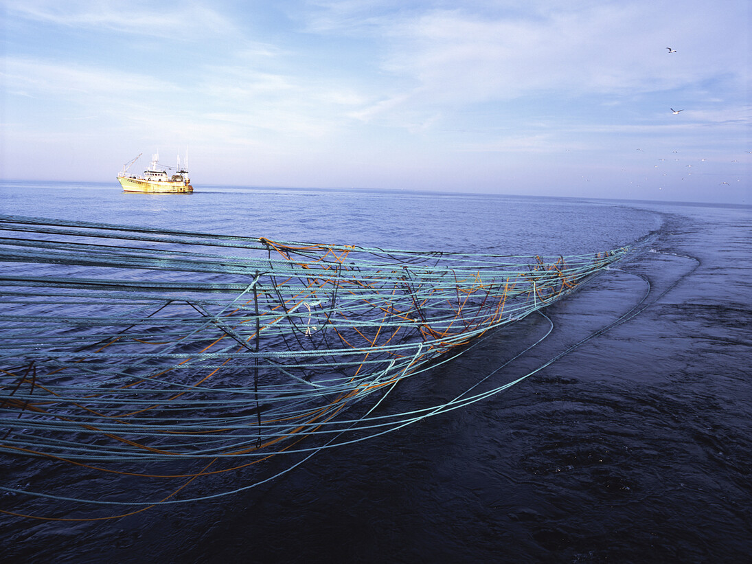 Nicolas Floc'h, La tour pélagique, 2008, 2 projections de diapositives 6x7. Maquette de filet. Collection FRAC Bretagne