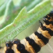 David Blandy, The World After, image still, 2019. Image: Claire Barrett. Courtesy of Focal Point Gallery