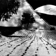 Mario Giacomelli, La grande luna, 1980