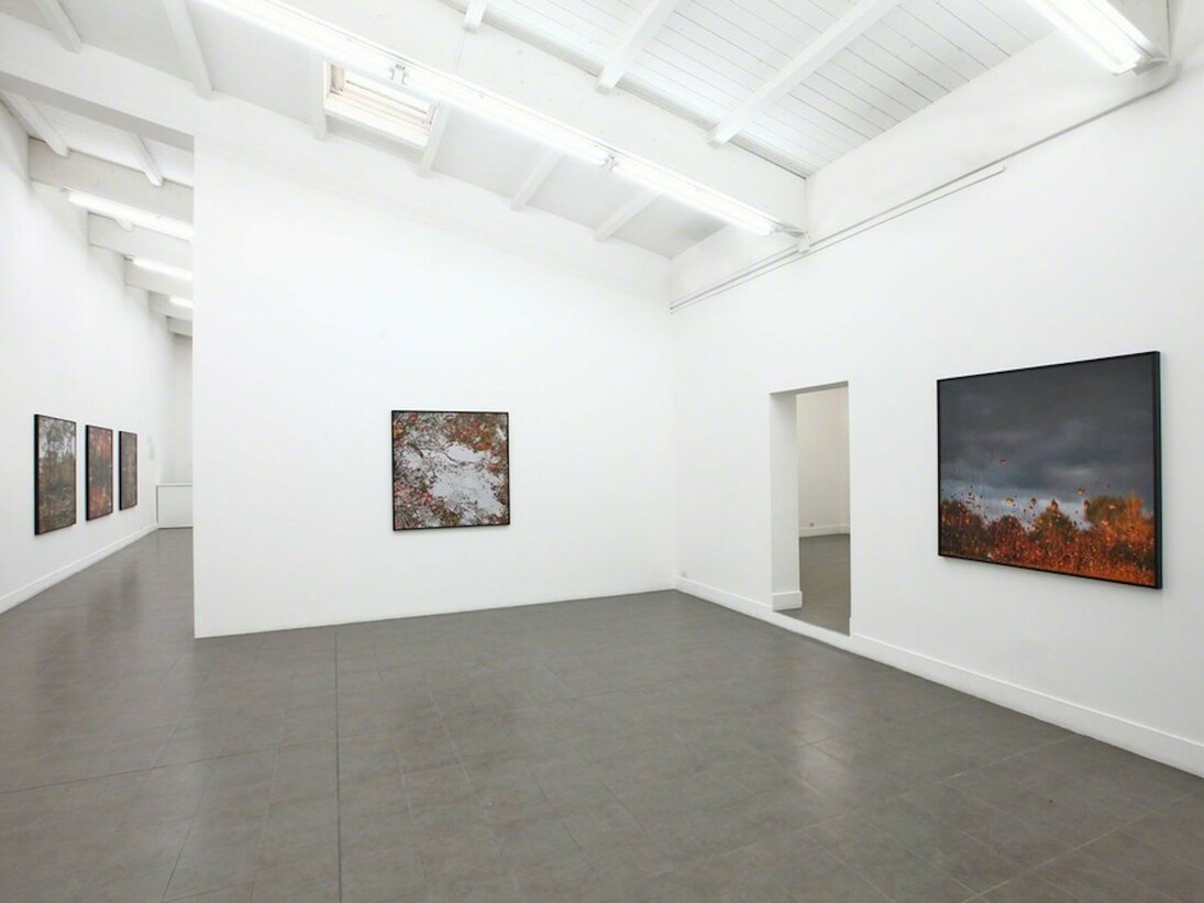 The Floating World, Exhibition view. Courtesy of Brand New Gallery