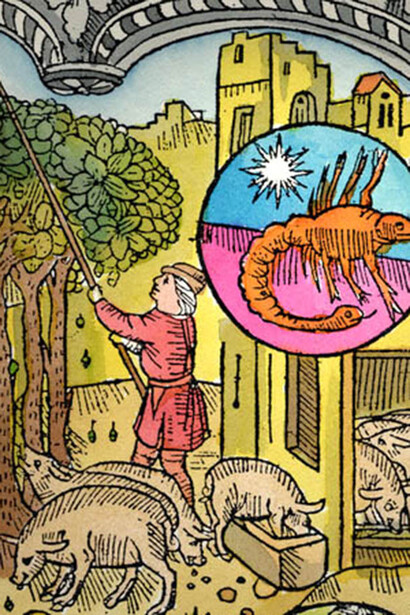 Il segno dello Scorpione