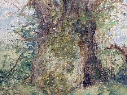 Daniel Chatto, Study of Oak
