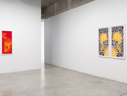 Sherrill Roland, The turning away from, exhibition view. Courtesy of Tanya Bonakdar Gallery