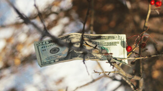 Generar abundancia: observar los patrones; sentirse en dignidad y merecimiento; tener claro para qué se quiere el dinero