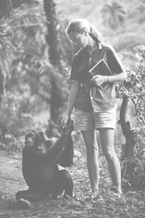 She began researching at Gombe Stream National Park in Tanzania at the age of 26